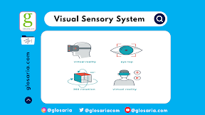 Contoh Aplikasi Visual Sensory System dalam bidang Packaging